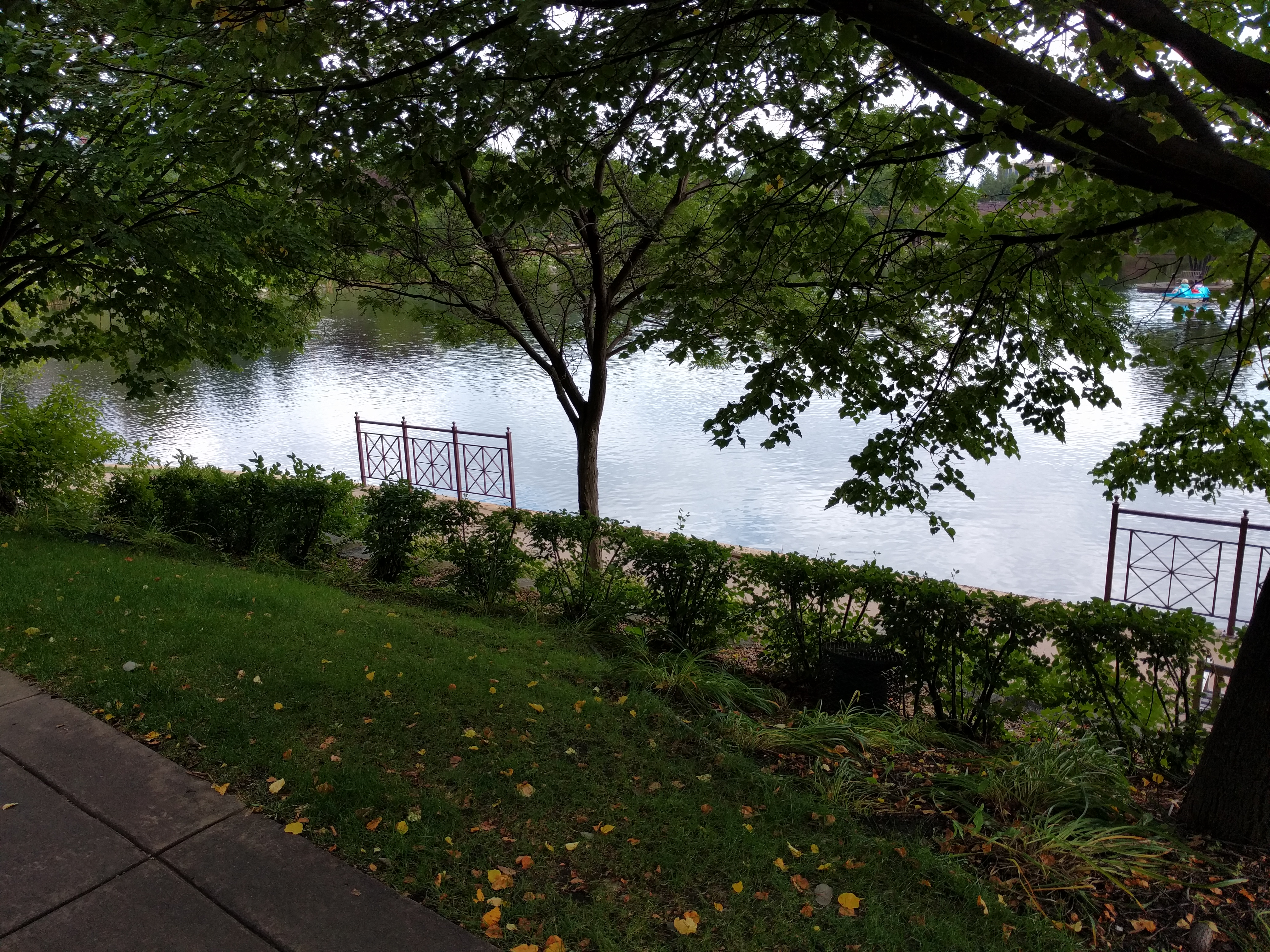 Shaded lakeside path at Centennial Lakes Park.