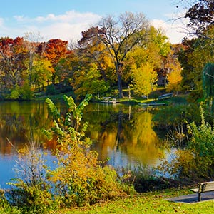 Autumn trees reflected in Melody Lake Park.