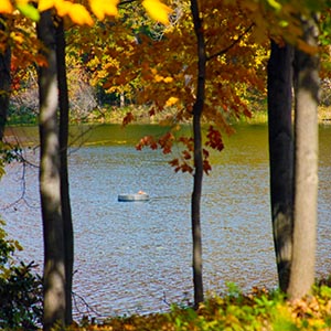Edina context: Arrowhead Lake through autumn trees.