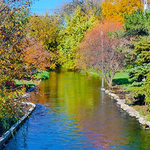 Minnehaha Creek bordered by autumn trees.