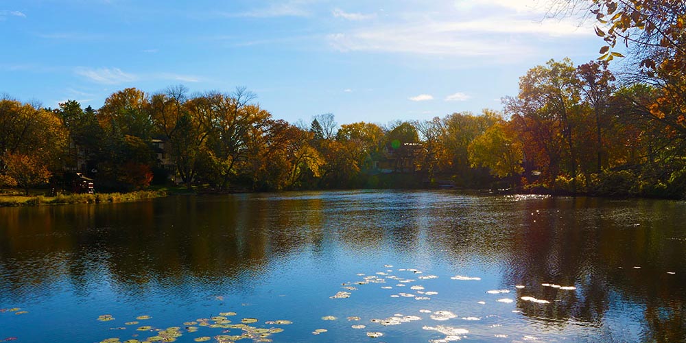 Water and autumn trees along Minnehaha Creek.